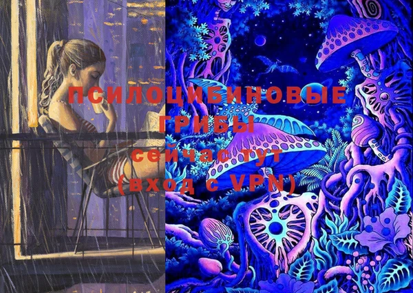 МДПВ Балахна