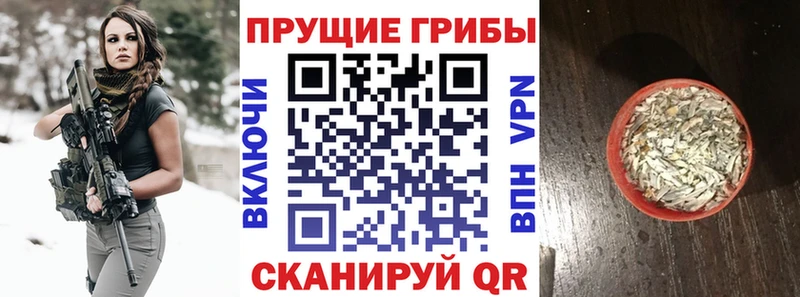 Псилоцибиновые грибы Psilocybine cubensis  МЕГА как войти  Малая Вишера 